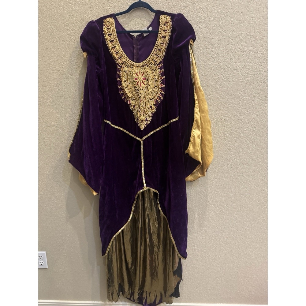 Dreamgirl Women's Queen of Thrones Costume Dress Velvet Purple Size 3XL